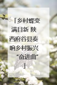 乡村蝶变满目新 陕西府谷县奏响乡村振兴“奋进曲”