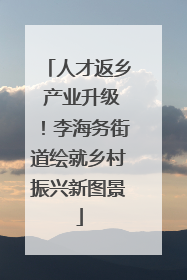 人才返乡 产业升级！李海务街道绘就乡村振兴新图景