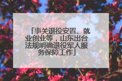 事关退役安置、就业创业等，山东出台法规明确退役军人服务保障工作