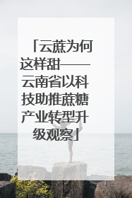 云蔗为何这样甜——云南省以科技助推蔗糖产业转型升级观察