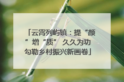 云霄列屿镇：提“颜”增“质” 久久为功勾勒乡村振兴新画卷