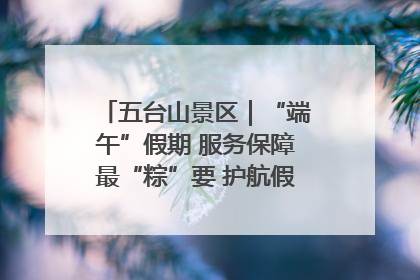 五台山景区｜“端午”假期 服务保障最“粽”要 护航假期“不打烊”