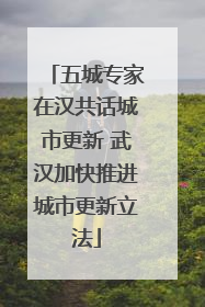 五城专家在汉共话城市更新 武汉加快推进城市更新立法