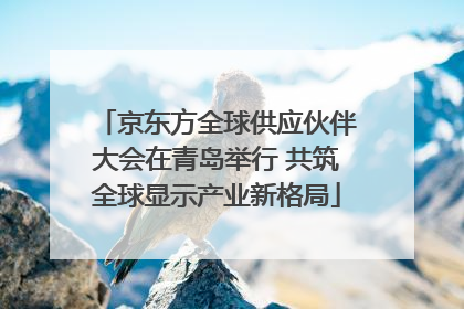 京东方全球供应伙伴大会在青岛举行 共筑全球显示产业新格局