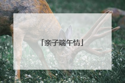 亲子端午情