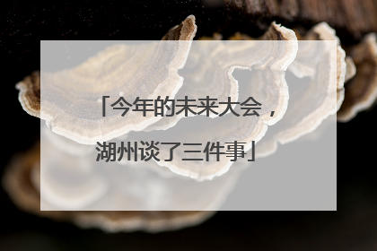 今年的未来大会，湖州谈了三件事
