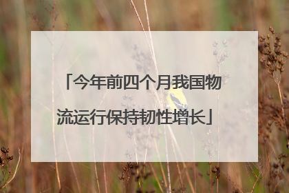 今年前四个月我国物流运行保持韧性增长