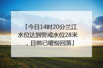 今日14时20分兰江水位达到警戒水位28米，目前已缓慢回落