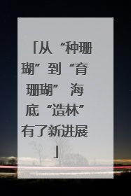 从“种珊瑚”到“育珊瑚” 海底“造林”有了新进展