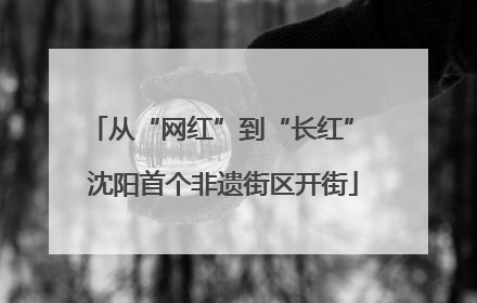 从“网红”到“长红” 沈阳首个非遗街区开街