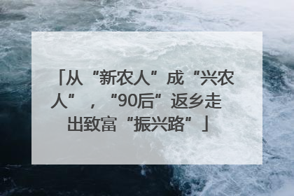 从“新农人”成“兴农人”，“90后”返乡走出致富“振兴路”
