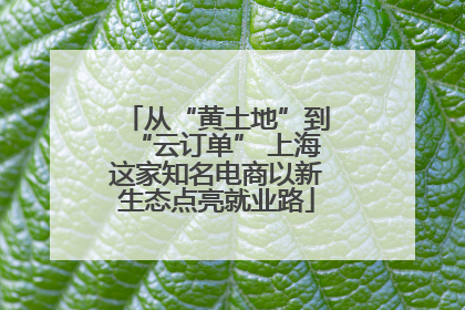 从“黄土地”到“云订单” 上海这家知名电商以新生态点亮就业路