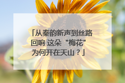 从秦韵新声到丝路回响 这朵“梅花”为何开在天山？