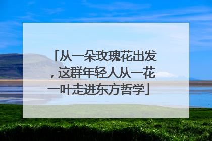 从一朵玫瑰花出发，这群年轻人从一花一叶走进东方哲学