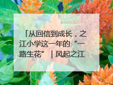 从回信到成长，之江小学这一年的“一路生花”｜风起之江 扶摇直上