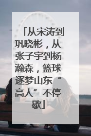 从宋涛到巩晓彬，从张子宇到杨瀚森，篮球逐梦山东“高人”不停歇