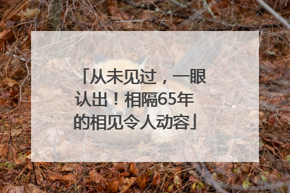 从未见过，一眼认出！相隔65年的相见令人动容