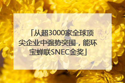 从超3000家全球顶尖企业中强势突围，能环宝蝉联SNEC金奖