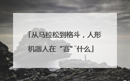 从马拉松到格斗，人形机器人在“赛”什么