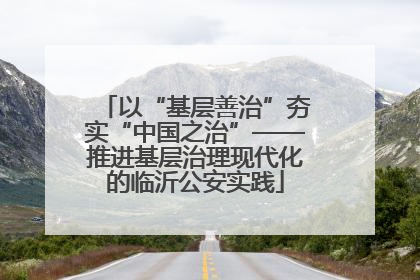 以“基层善治”夯实“中国之治”——推进基层治理现代化的临沂公安实践