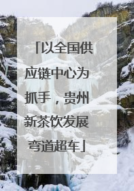 以全国供应链中心为抓手，贵州新茶饮发展弯道超车