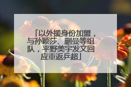 以外援身份加盟，与孙颖莎、蒯曼等组队，平野美宇发文回应重返乒超