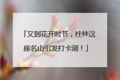 又到花开时节，桂林这座名山引发打卡潮！
