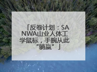 反卷计划：SANWA山业人体工学鼠标，手腕从此“躺赢”