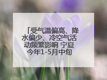 受气温偏高、降水偏少、冷空气活动频繁影响 宁夏今年1-5月中旬现10次定级沙尘天气过程