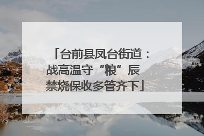 台前县凤台街道：战高温守“粮”辰 禁烧保收多管齐下