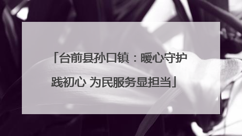 台前县孙口镇：暖心守护践初心 为民服务显担当