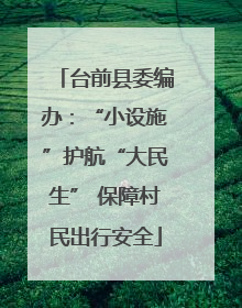 台前县委编办：“小设施”护航“大民生” 保障村民出行安全