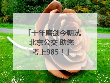 十年磨剑今朝试 北京公交 助您考上985！