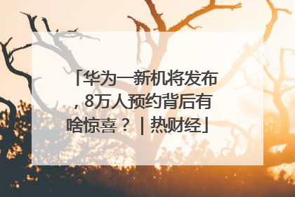 华为一新机将发布，8万人预约背后有啥惊喜？｜热财经
