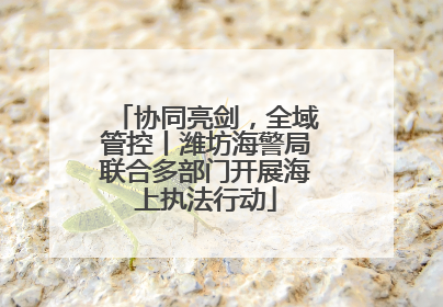 协同亮剑，全域管控丨潍坊海警局联合多部门开展海上执法行动