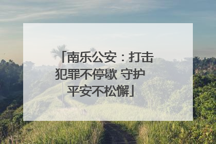 南乐公安：打击犯罪不停歇 守护平安不松懈