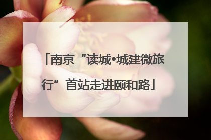 南京“读城•城建微旅行”首站走进颐和路
