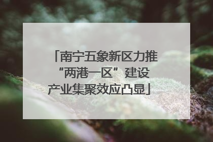 南宁五象新区力推“两港一区”建设 产业集聚效应凸显