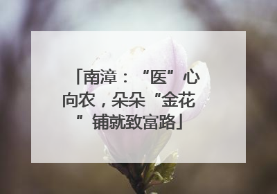 南漳：“医”心向农，朵朵“金花”铺就致富路