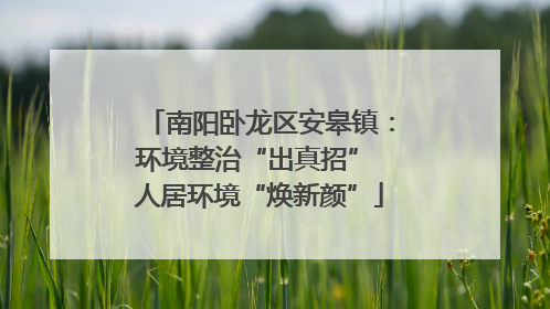 南阳卧龙区安皋镇：环境整治“出真招” 人居环境“焕新颜”