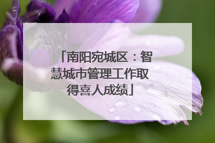 南阳宛城区：智慧城市管理工作取得喜人成绩