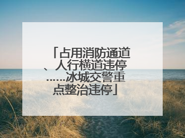 占用消防通道、人行横道违停……冰城交警重点整治违停