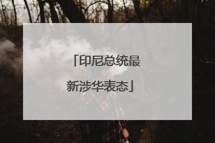 印尼总统最新涉华表态