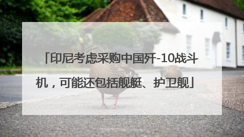 印尼考虑采购中国歼-10战斗机，可能还包括舰艇、护卫舰