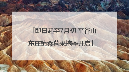 即日起至7月初 平谷山东庄镇桑葚采摘季开启