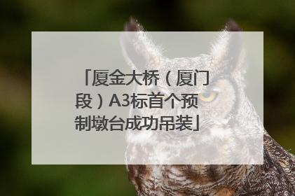厦金大桥（厦门段）A3标首个预制墩台成功吊装