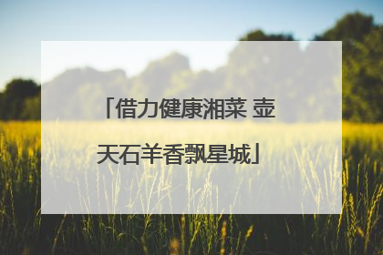 借力健康湘菜 壶天石羊香飘星城