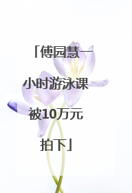 傅园慧一小时游泳课被10万元拍下