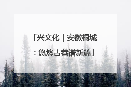 兴文化｜安徽桐城：悠悠古巷谱新篇