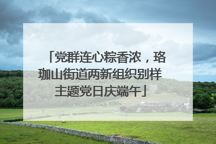 党群连心粽香浓，珞珈山街道两新组织别样主题党日庆端午